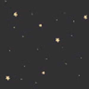 Meet your Posher, Bailey